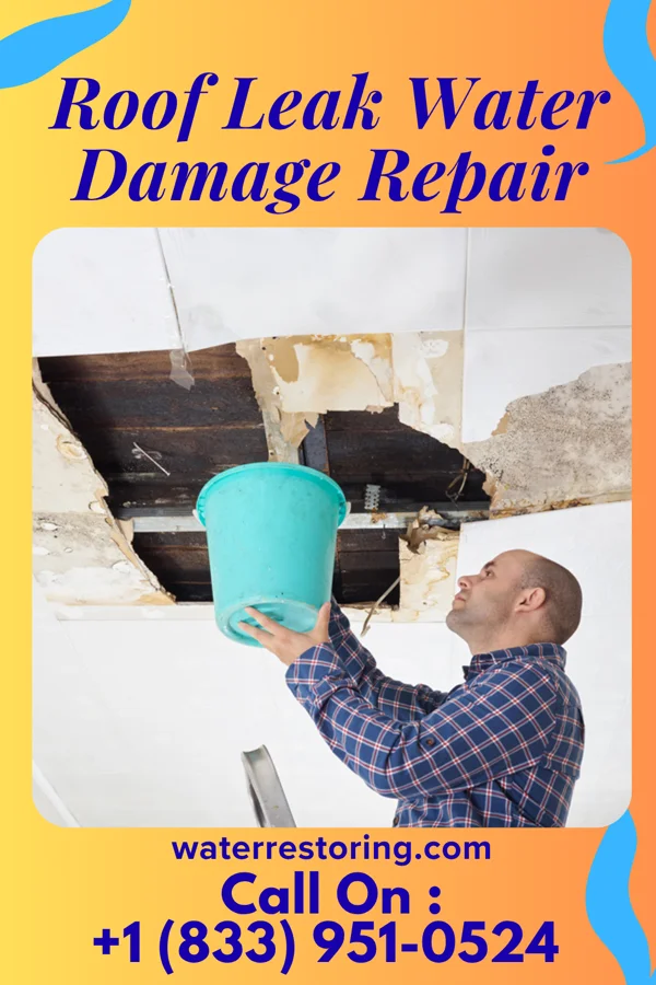 Roof Leak Water Damage Repair in Shackle Island, TN
