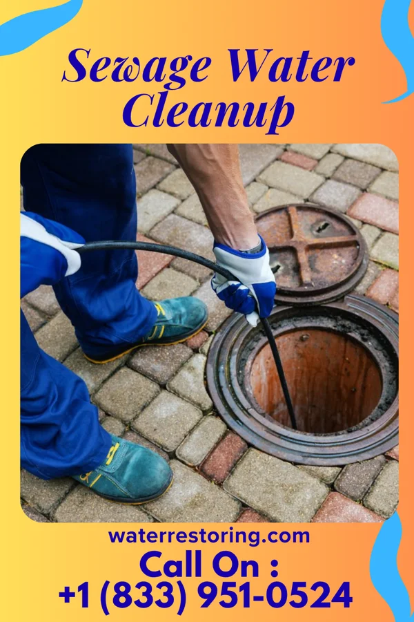 Sewage Water Cleanup in Shackle Island, TN